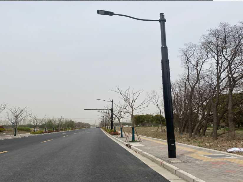 子洲县上海综合杆 太阳能路灯工程